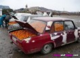 /album/nepochopitelne-hloupe-napady/funny-sale-nectarines-jpg/